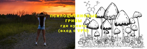 герыч Заводоуковск