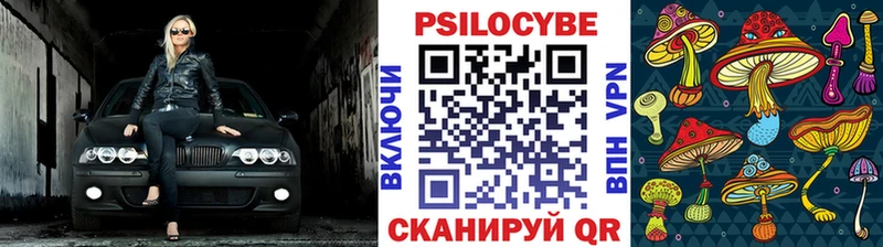 Галлюциногенные грибы MAGIC MUSHROOMS  Трубчевск 